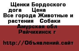 Щенки Бордоского дога.  › Цена ­ 30 000 - Все города Животные и растения » Собаки   . Амурская обл.,Райчихинск г.